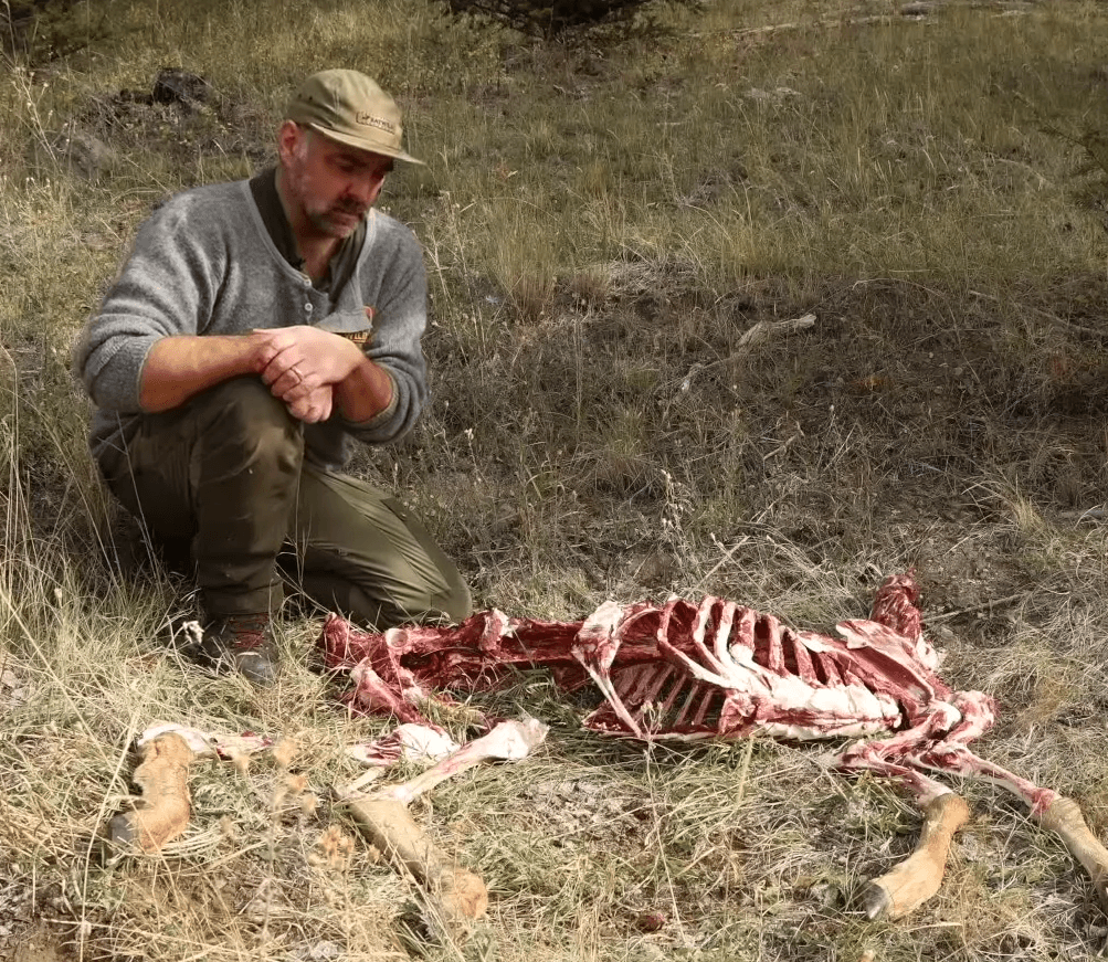 Processing a deer in a CWD management area