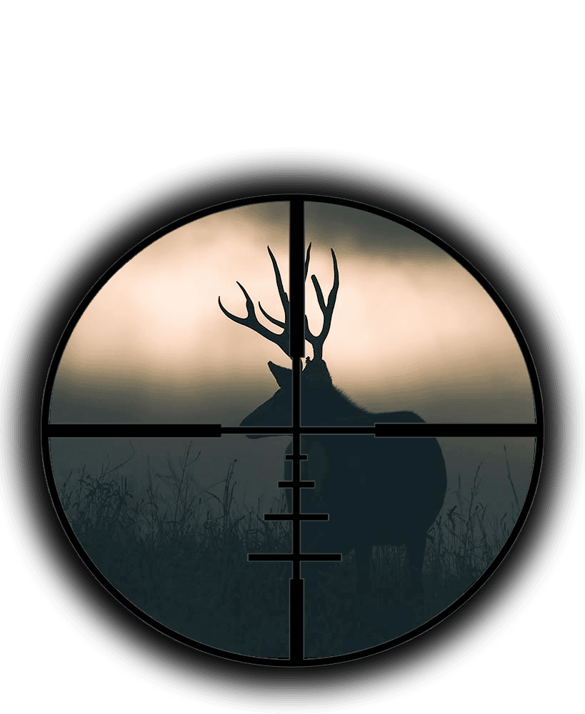 Chronic Wasting Disease (CWD) Information for Hunters in BC